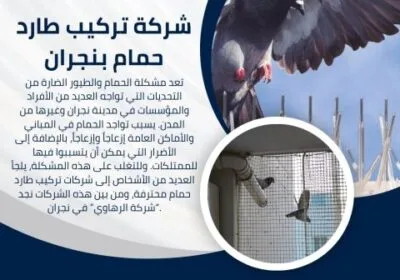 شركة-مكافحة-الحمام-في-نجران-–-الرهاوي-كلين