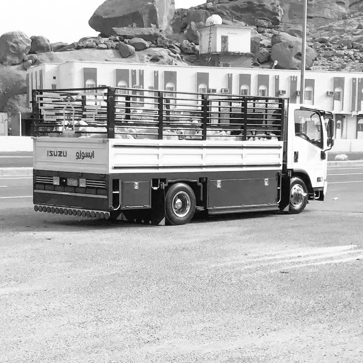 دينا لوري جنوب نقل عفش بالرياض 0561186175 دينا نقل عفش بالرياض شمال الرياض