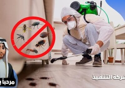 An-insect-control-company