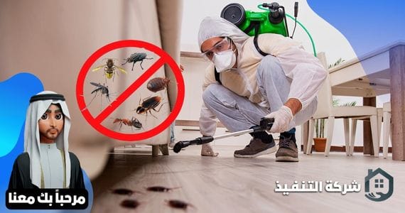 أهمية شركة مكافحة حشرات ورش مبيدات بالدرعية