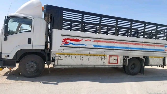 دينا نقل عفش بتبوك 0555970446 نقل عفش خارج تبوك