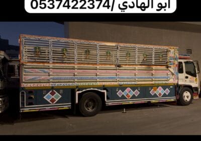 IMG-20250813-WA0000-1