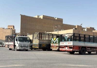 IMG-20250822-WA0002-1