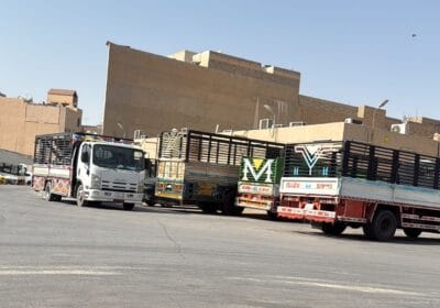 IMG-20250822-WA0003-2