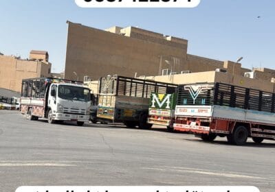 IMG-20250822-WA0005-5