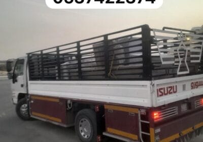 IMG-20260115-WA0002-1