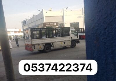 IMG-20260115-WA0004-1