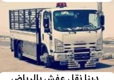 IMG_20240416_135406_507