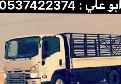 IMG_20240716_182135_604-1