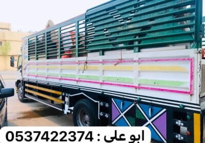 IMG_20241001_010746_366