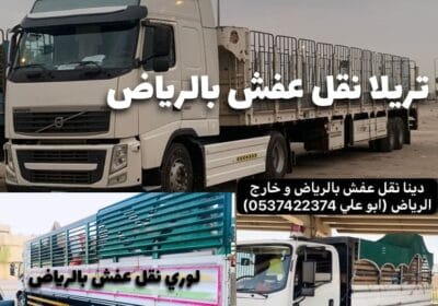 IMG_20241212_034509_388-1