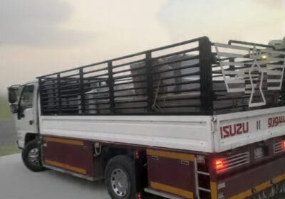 received_1972354697046528