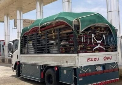 ٢٠٢٥٠١٠٨_١٦٢٢٤٢