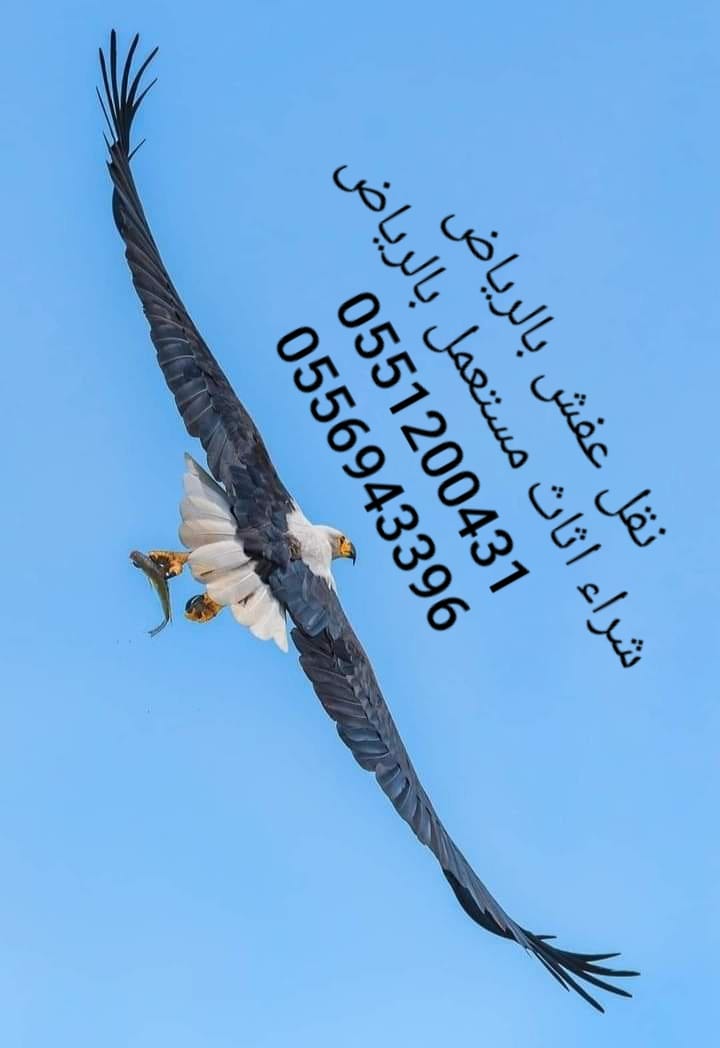 دينا طش ورمي اثاث اغراض كراكيب قديمة 0545862986✅️التخلص من الأثاث المستخدم بالرياض حي قرطبة اشبيليةالجزيرة النخيل الصحافة العليا