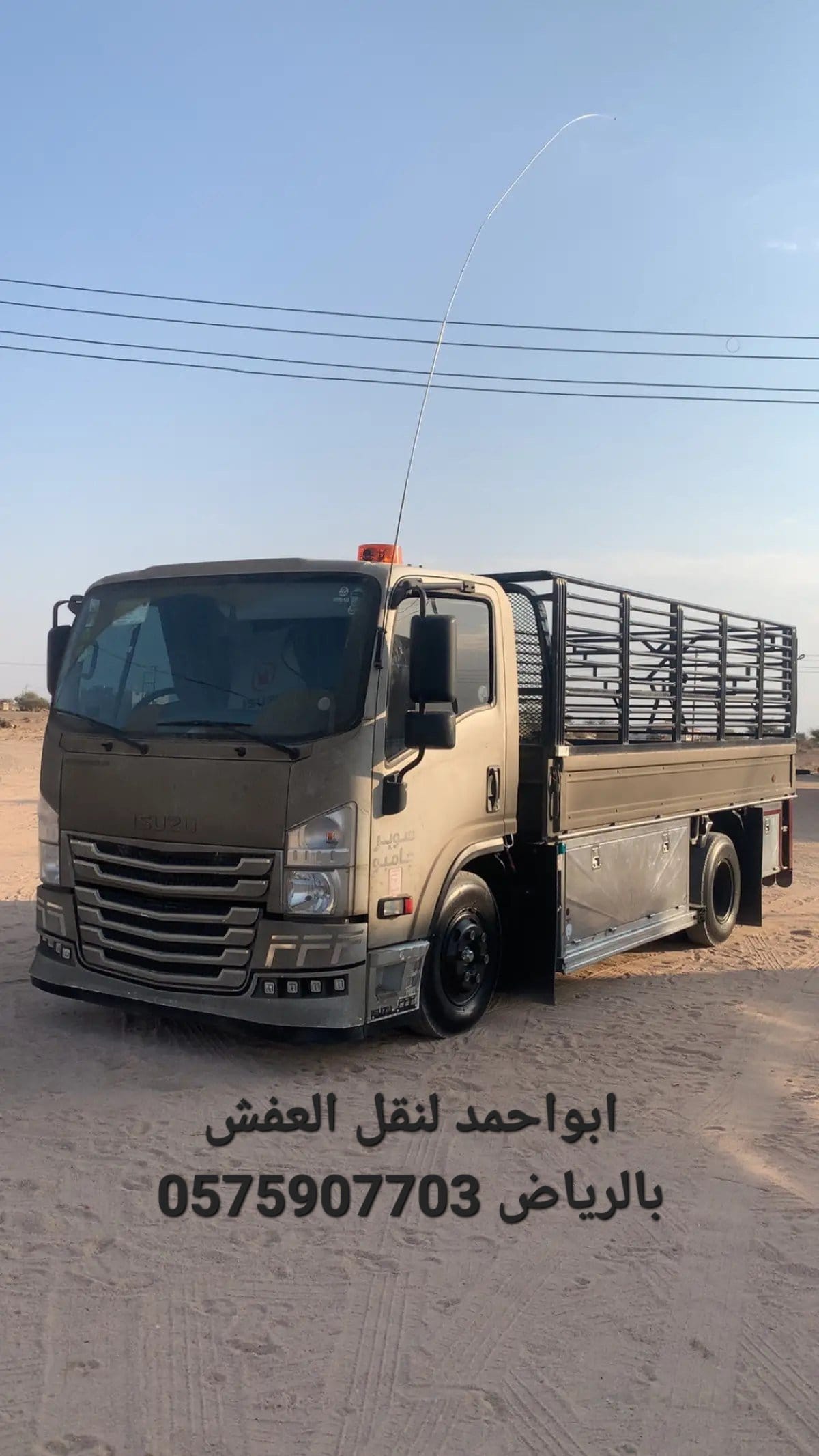 راعي دينا نقل عفش بالرياض