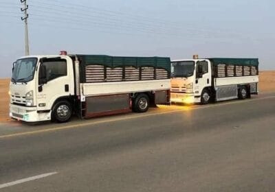 ٢٠٢٦٠١٠٧_١٣١٢٠٢