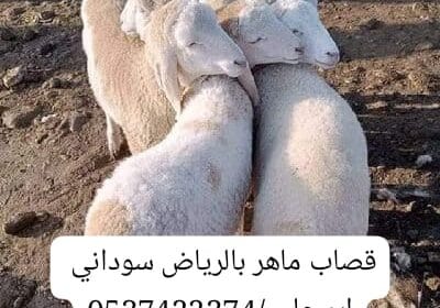 IMG-20250101-WA0001-4