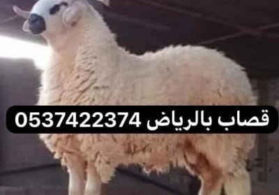 IMG_20240509_135825_903-1