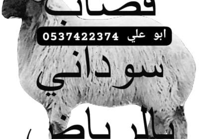 IMG_20240530_175600_051