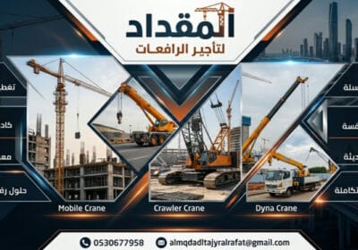 InShot_20260227_233158788