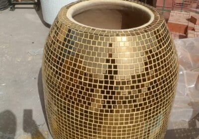 WhatsApp-Image-2026-01-31-at-7.34.01-PM