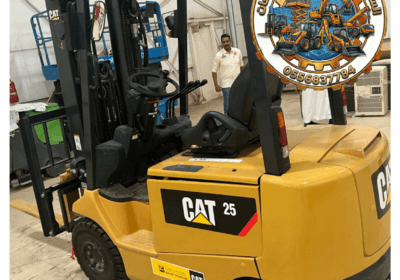 InCollage_20260222_021135472