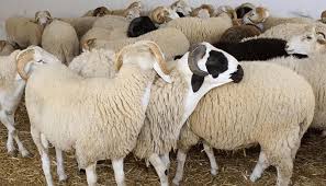 ٢٠٢٦٠٤٢٢_١٩٣٣٣٤