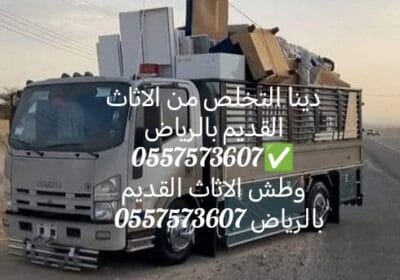 1000121041-3