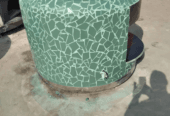 الرياض