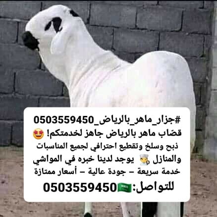 رقم جزار ماهر مواشي بالرياض 0503559450 سلخ