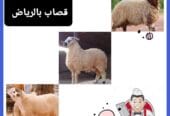 قصاب شمال شرق جنوب غربا ذباح جزار بالرياض 0َ503559450 سلخ اضاحي غنم