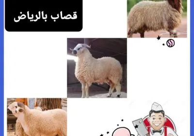 ٢٠٢٦٠٥٢٨_٠٣١٧٥٢