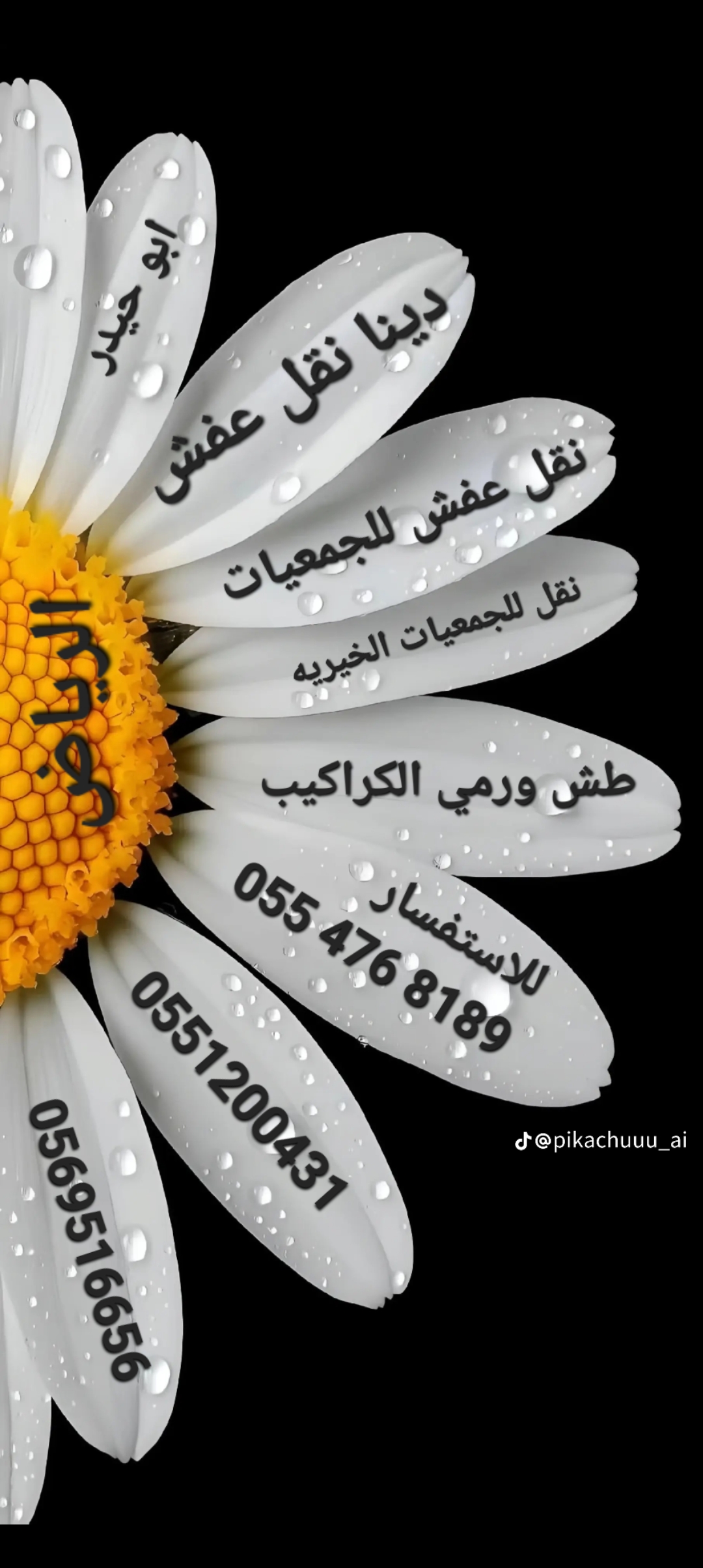الرياض وجده
