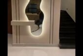 جبس ومشبات الشرقية0532231247
