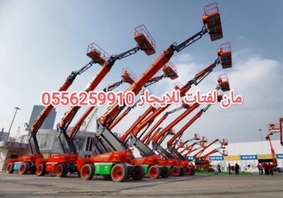 IMG_20250310_074223-1